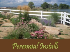 Balogh Gardens - Denver Gardening and Landscaping - Perennial Installs